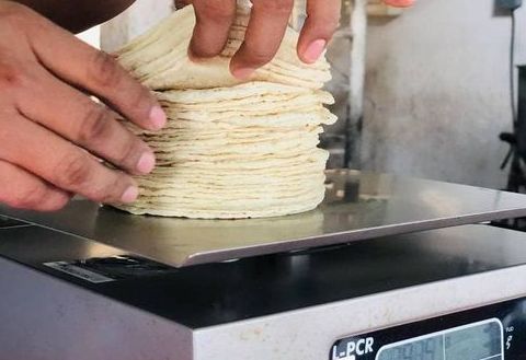 Precio de la tortilla se mantendrá en 23 pesos: Rocha Moya.