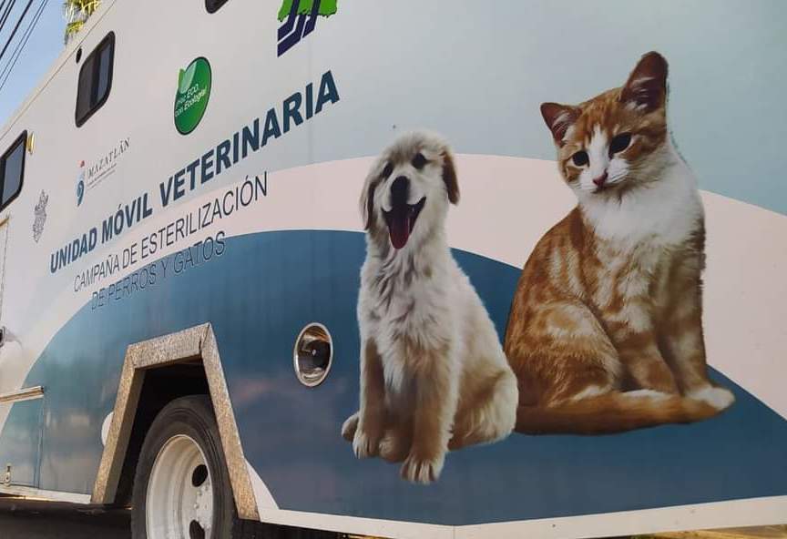  Continúa Gobierno Municipal con campaña de esterilización de perros y gatos.