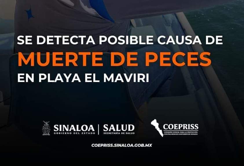 COEPRISS detecta posible causa de muerte de peces en El Maviri y Topo.