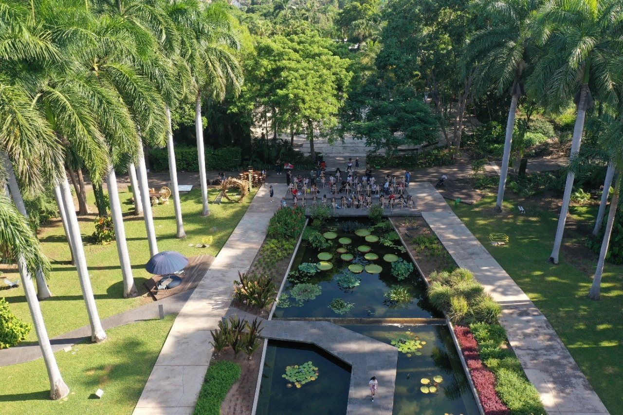 Un gran éxito ha resultado ser el programa "Pintemos Culiacán” en el Jardín Botánico de la capital sinaloense.