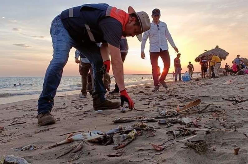  Supervisa la COEPRISS la zona de la Bahía de TOPOLOBAMPO y la Playa de EL MAVIRI por la aparición de peces muertos.