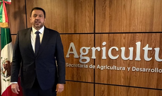 Reabre SADER ventanilla para pago a productores de maíz en Sinaloa, anuncia Ismael Bello Esquivel