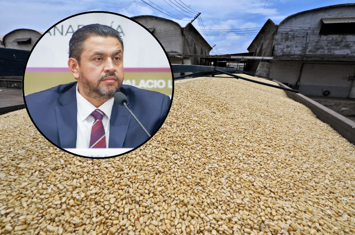      Reconoce Ismael Bello Esquivel respaldo de la Federación y Gobierno de Sinaloa para dar certidumbre a productores de maíz