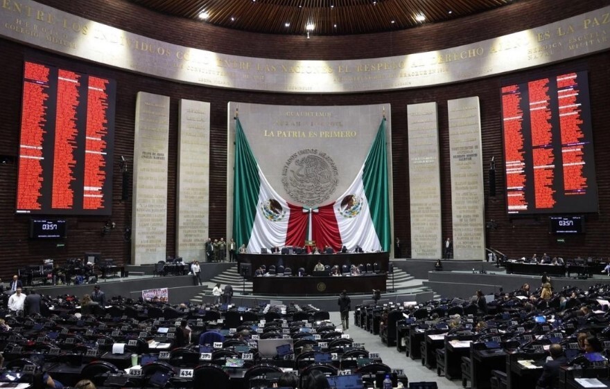 Cámara de Diputados recibe renuncia de Guadalupe Taddei por INE &nbsp;