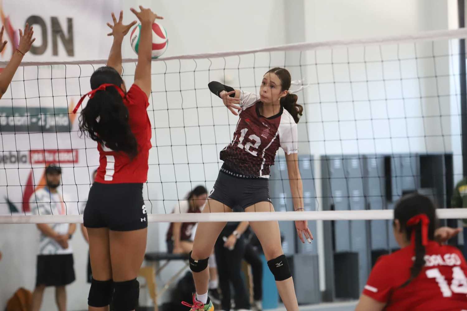         Sinaloa aportará voleibolistas a la Selección Mexicana rumbo a los Juegos Centroamericanos y del Caribe.