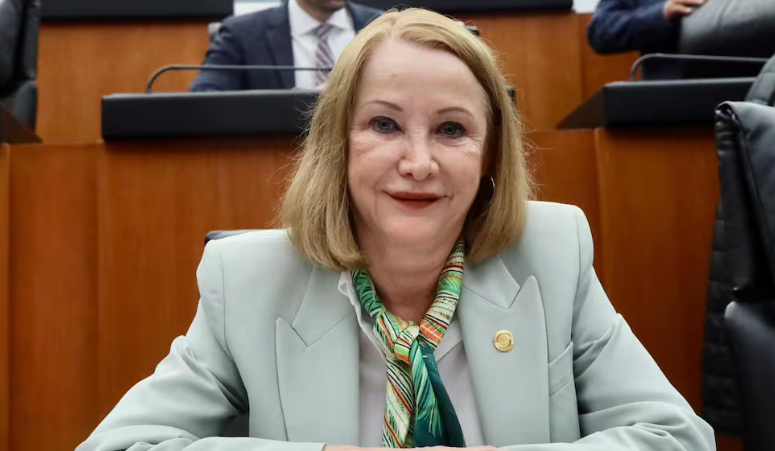         Laura Itzel Castillo encabezará la Secretaría de las Mujeres